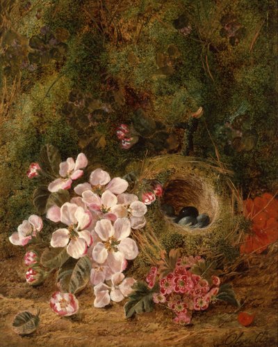 Vogelnest von Oliver Clare